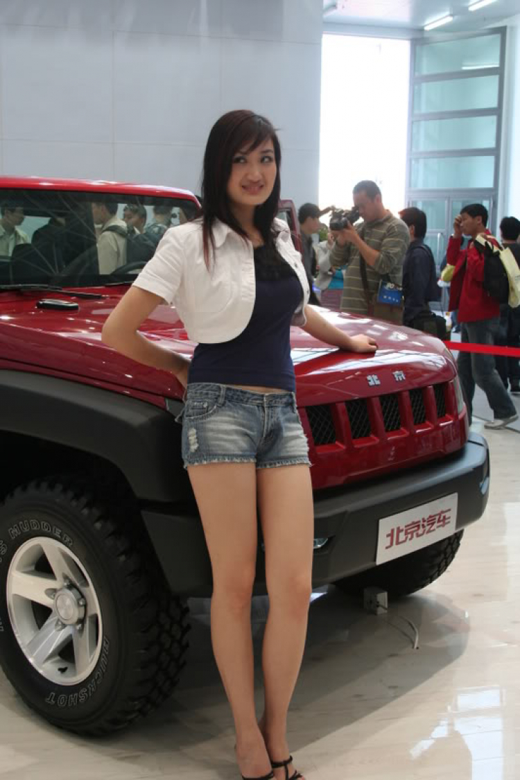 2008 Beijing International Automotive Exhibition