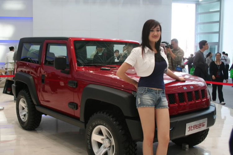 2008 Beijing International Automotive Exhibition