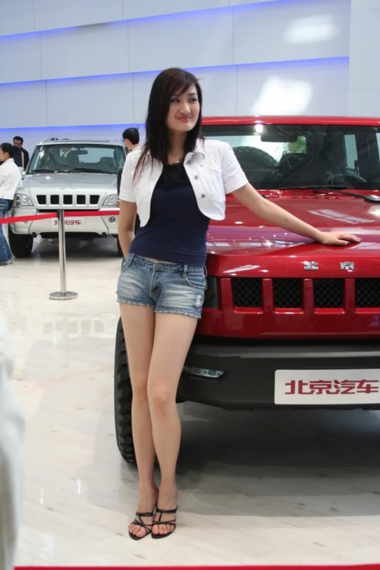 2008 Beijing International Automotive Exhibition