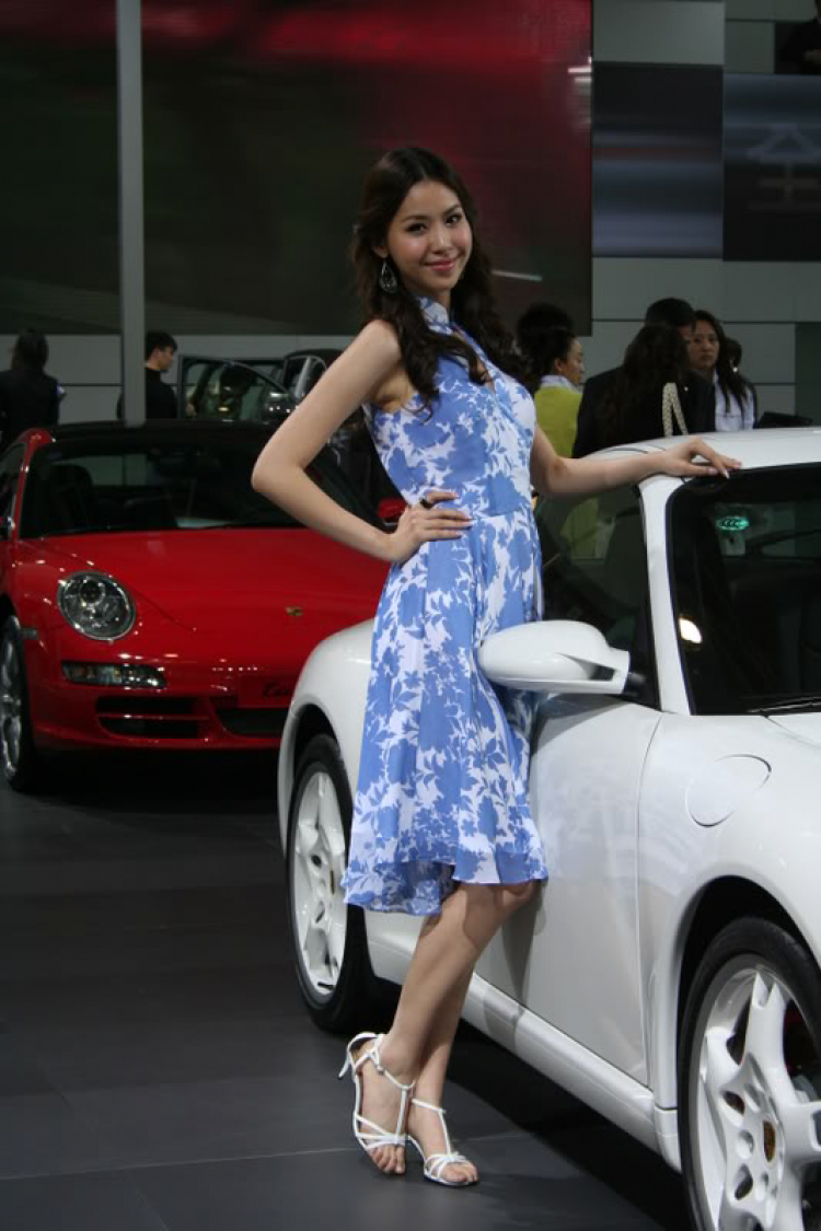 2008 Beijing International Automotive Exhibition