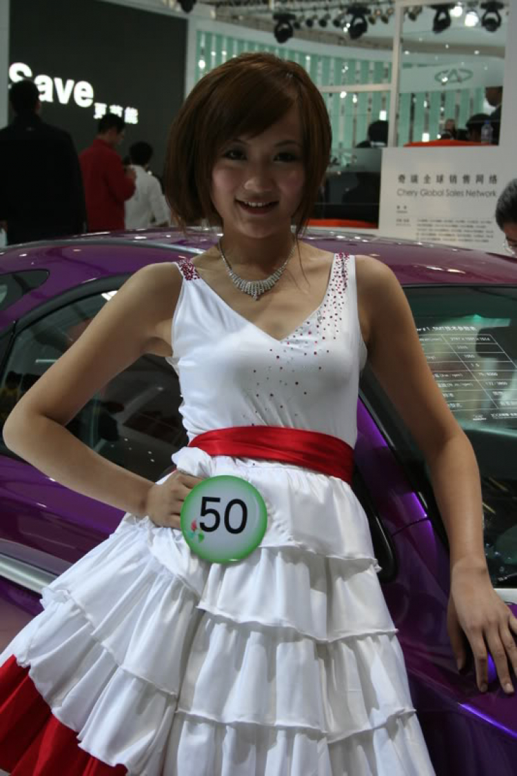 2008 Beijing International Automotive Exhibition