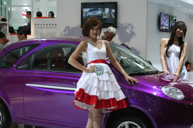 2008 Beijing International Automotive Exhibition