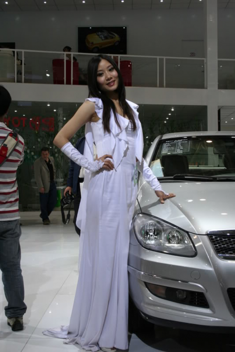 2008 Beijing International Automotive Exhibition