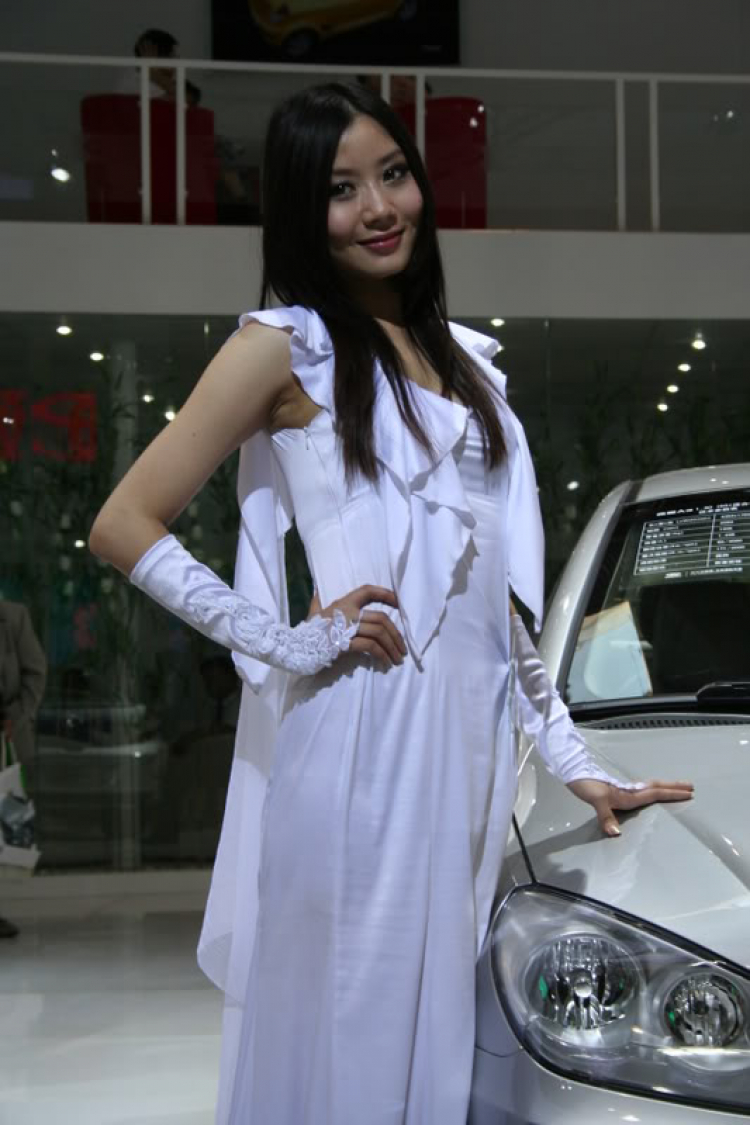 2008 Beijing International Automotive Exhibition