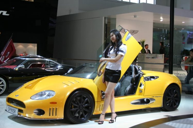 2008 Beijing International Automotive Exhibition