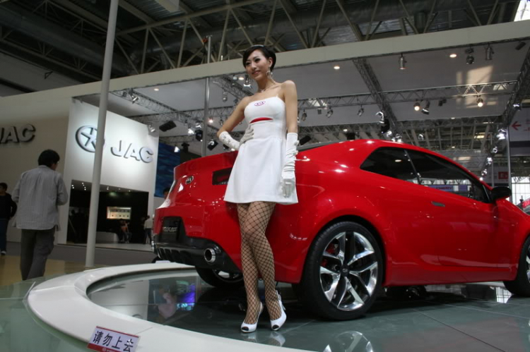 2008 Beijing International Automotive Exhibition