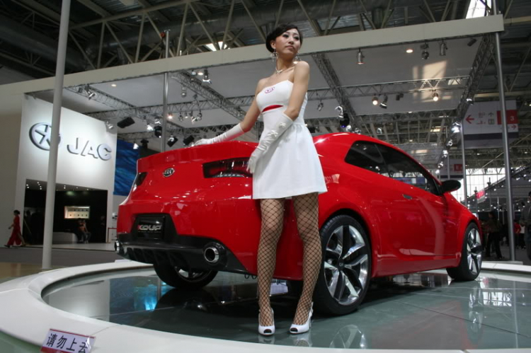 2008 Beijing International Automotive Exhibition