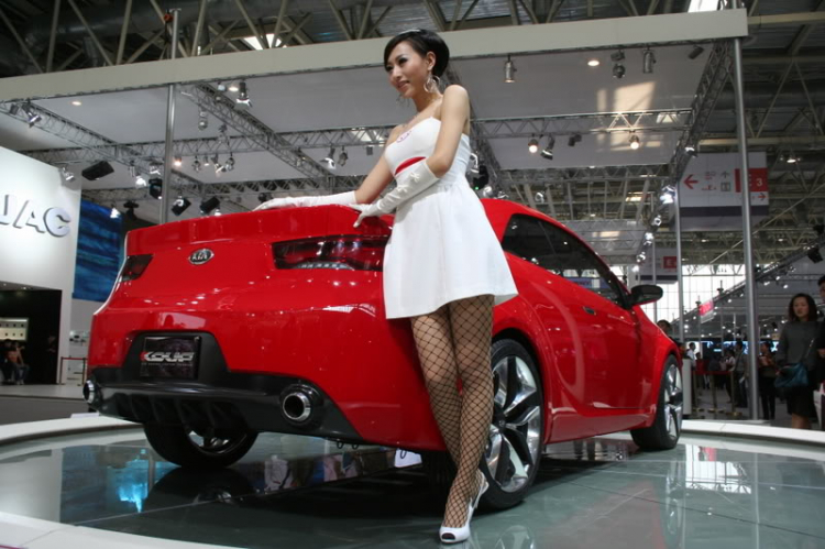 2008 Beijing International Automotive Exhibition