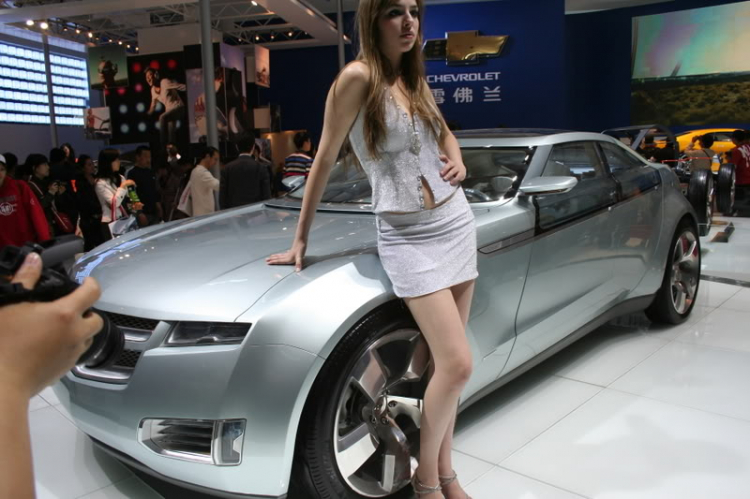 2008 Beijing International Automotive Exhibition