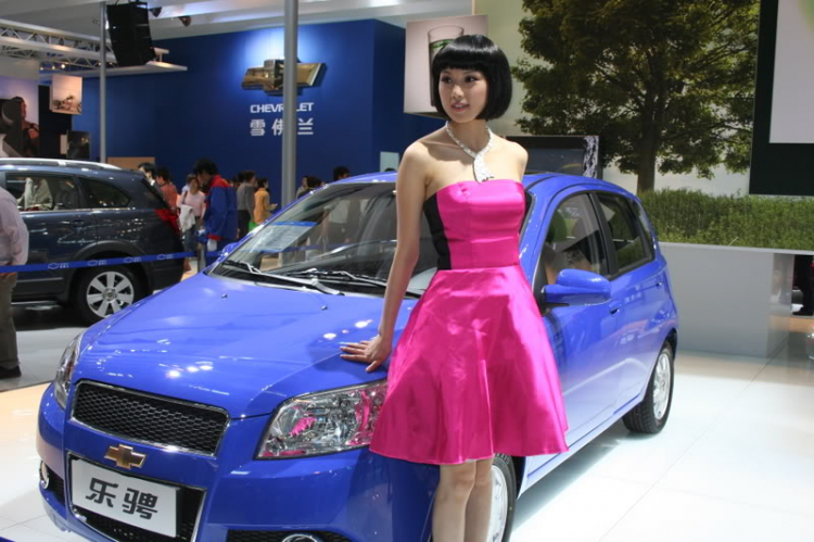 2008 Beijing International Automotive Exhibition