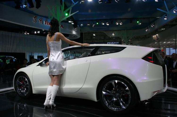 2008 Beijing International Automotive Exhibition