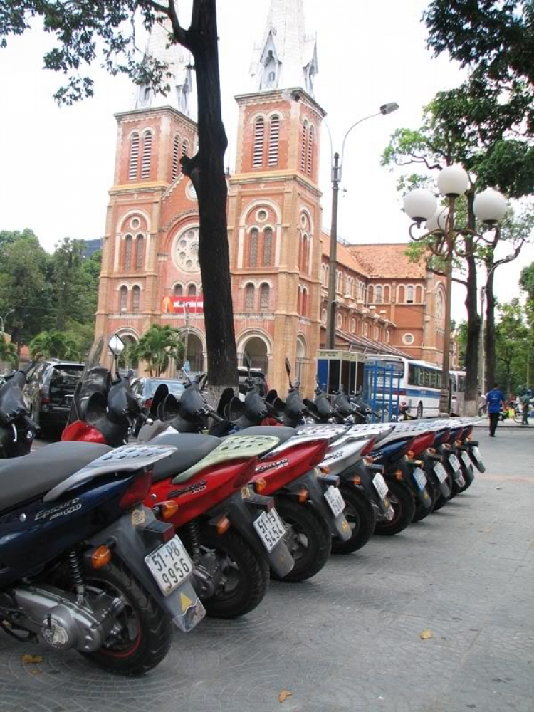 Suzuki EPICURO & AVENIS (Chi hội EAG) Suzuki EPICURO & AVENIS (Chi hội EAG)