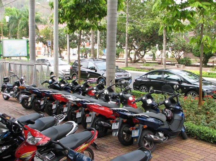 Suzuki EPICURO & AVENIS (Chi hội EAG)