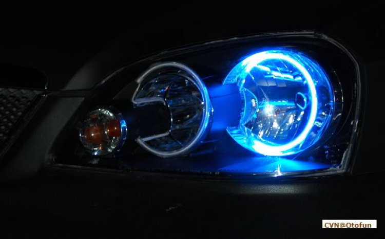 gắn đèn Angel eye cho New-Lac gắn đèn Angel eye cho New-Lac