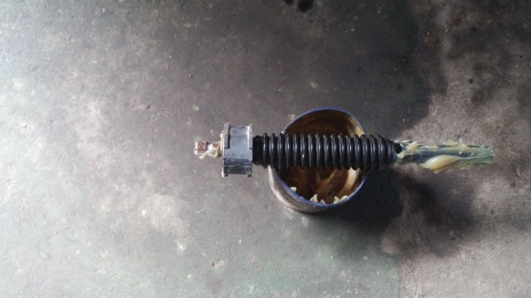 Bẽ lái ở tốc độ chậm kêu cọc cọc Bẽ lái ở tốc độ chậm kêu cọc cọc