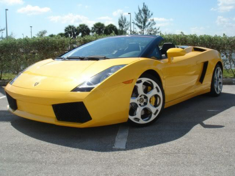 Chùm ảnh về Lamborghini Gallardo Spyder