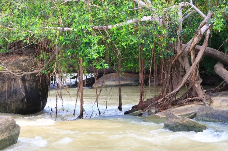 Điểm du lịch: Thác Mai