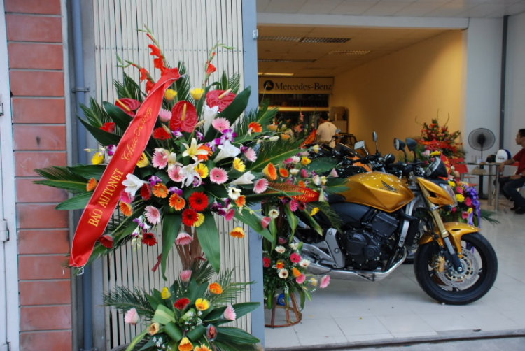 Honda Hornet 600F VS Suzuki GSR 600 Honda Hornet 600F VS Suzuki GSR 600