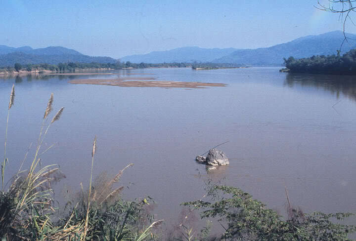 Adventure Tour 2008 "HCM-Vientiane-Golden Triangle-Luang Prabang-HCM Trail"