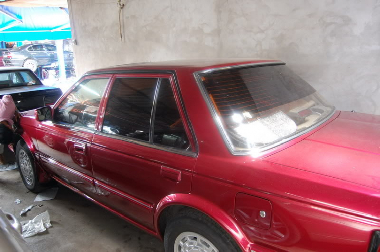 sao maxima và cifiro rẻ hơn blu sao maxima và cifiro rẻ hơn blu