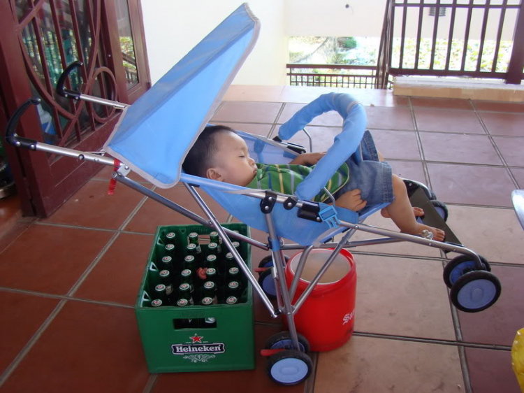 không phải hoa, không phải người