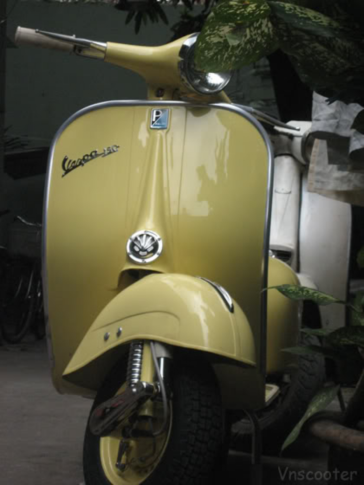 Vespa acma ...còn mãi với thời gian !