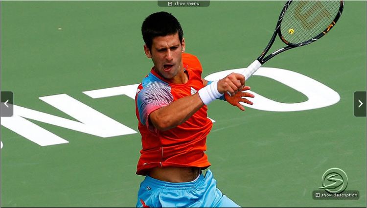 .: ATP Tennis 2008 :.