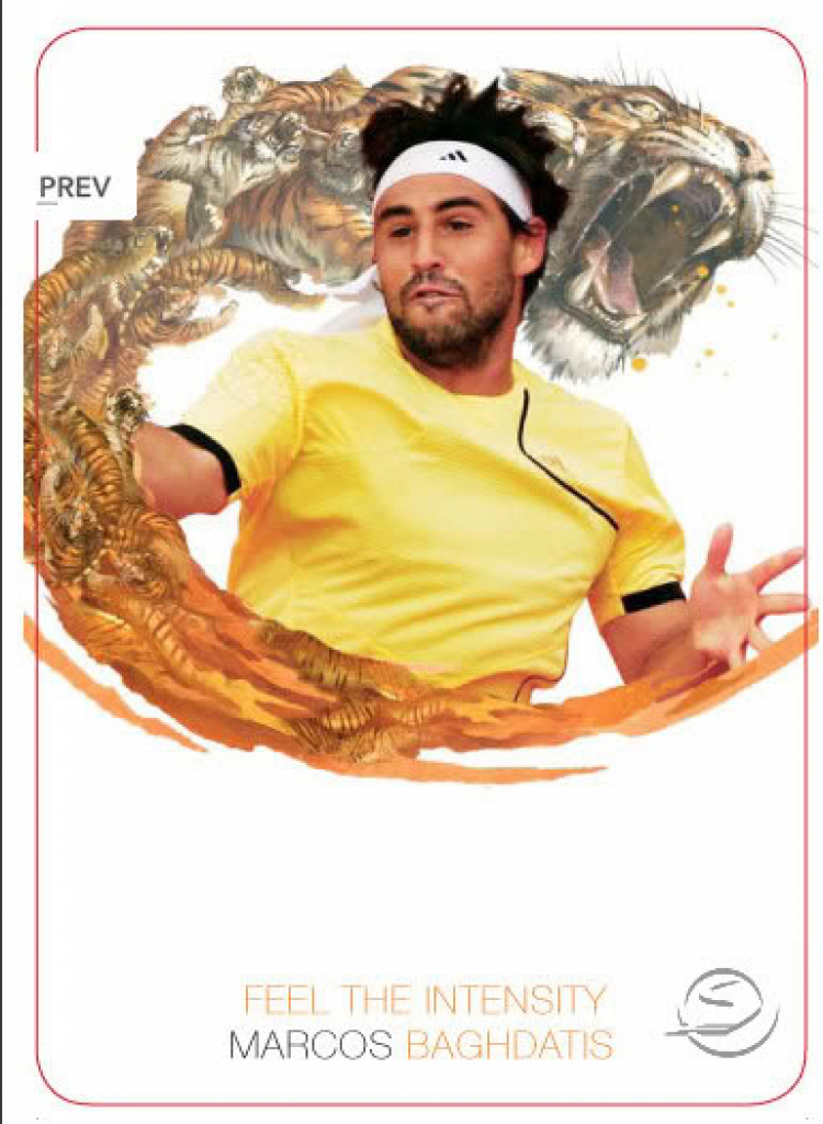 .: ATP Tennis 2008 :.