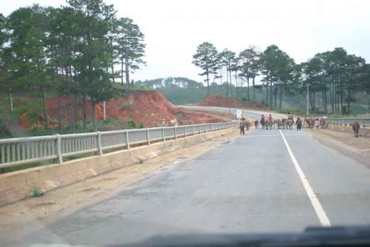 Đường Nhatrang - dalat ! Đường Nhatrang - dalat !