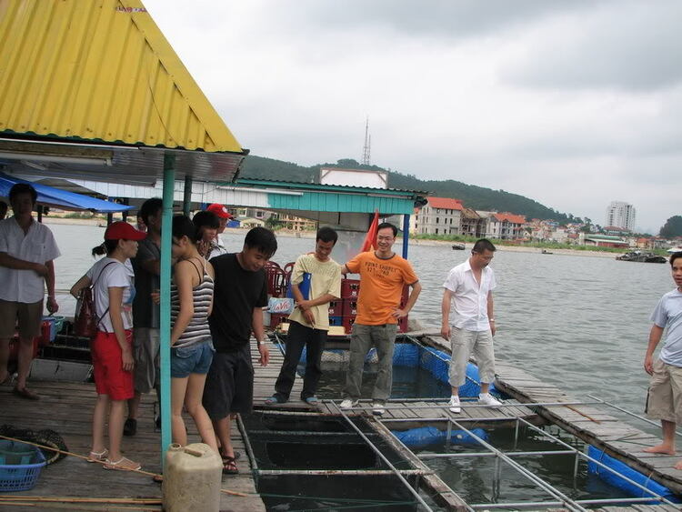 Dã ngọai tháng 8: Về Quảng Ninh, cùng vui, cùng câu cá biển.