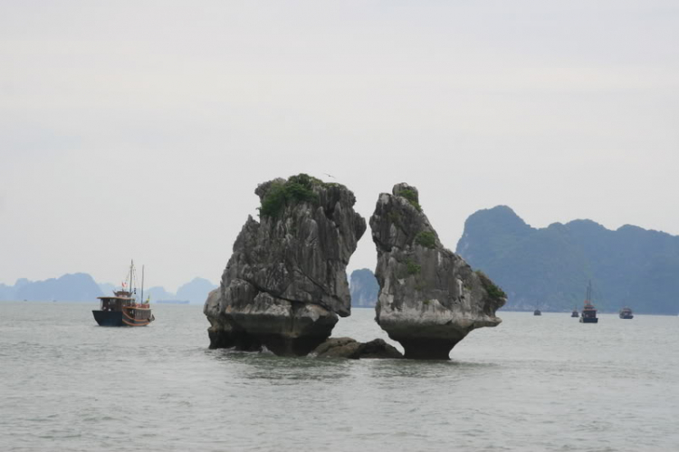 Dã ngọai tháng 8: Về Quảng Ninh, cùng vui, cùng câu cá biển.