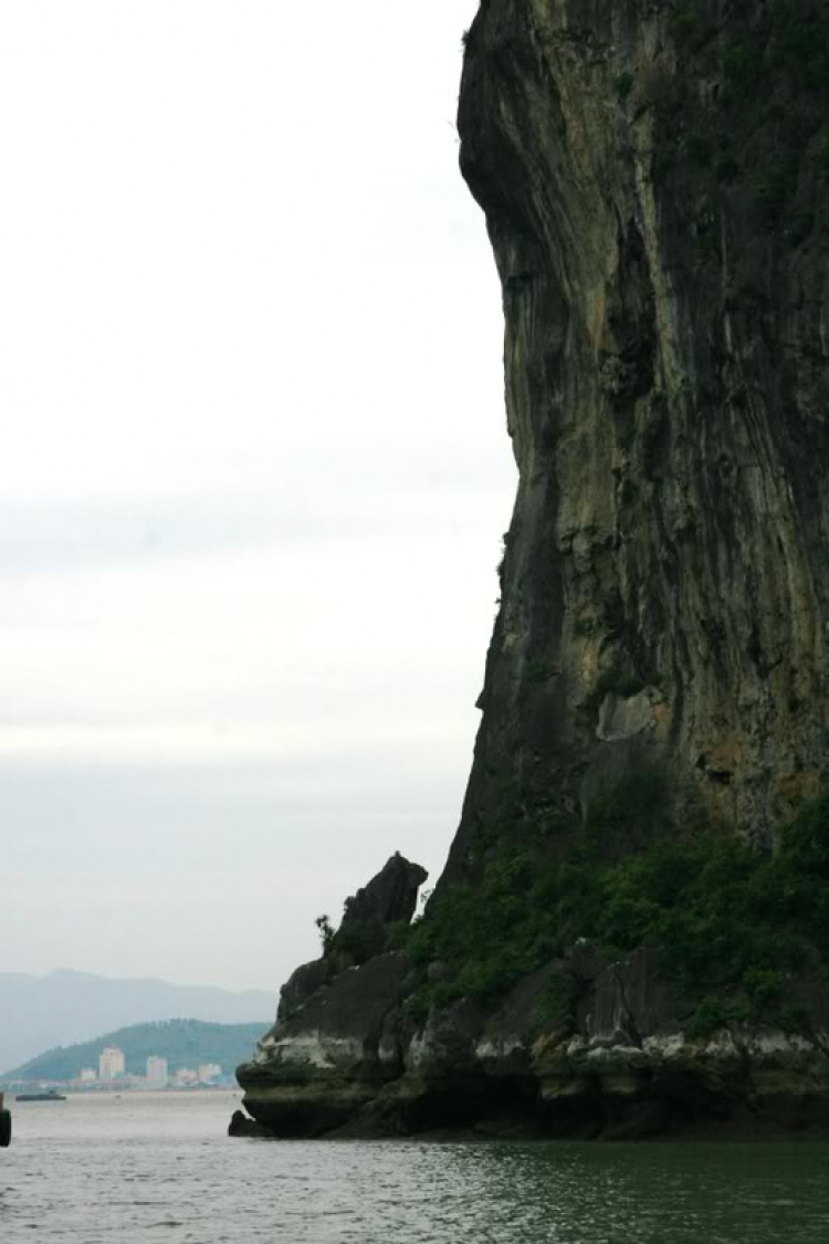 Dã ngọai tháng 8: Về Quảng Ninh, cùng vui, cùng câu cá biển. Dã ngọai tháng 8: Về Quảng Ninh, cùng vui, cùng câu cá biển.