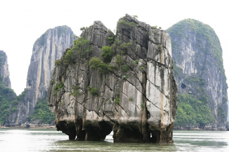 Dã ngọai tháng 8: Về Quảng Ninh, cùng vui, cùng câu cá biển. Dã ngọai tháng 8: Về Quảng Ninh, cùng vui, cùng câu cá biển.