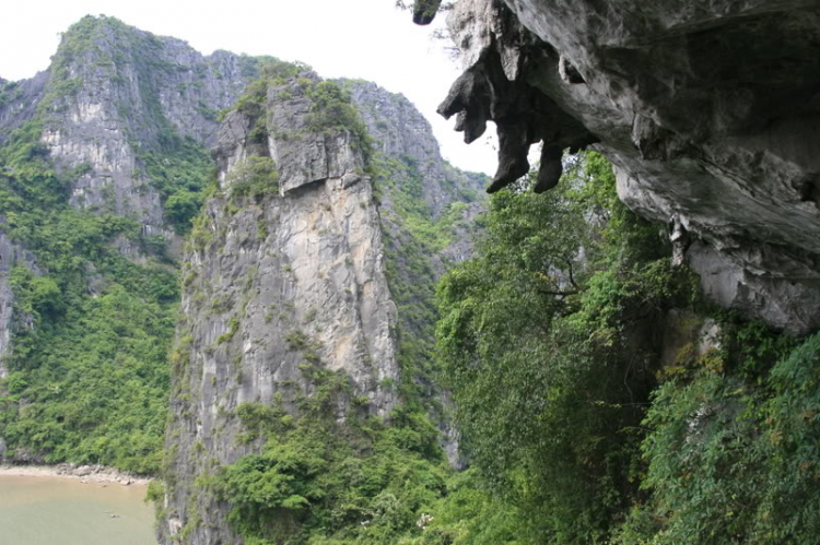 Dã ngọai tháng 8: Về Quảng Ninh, cùng vui, cùng câu cá biển.