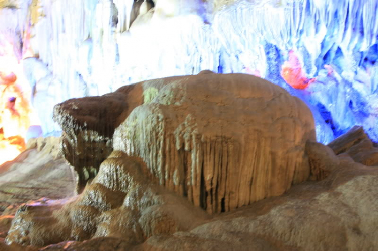 Dã ngọai tháng 8: Về Quảng Ninh, cùng vui, cùng câu cá biển. Dã ngọai tháng 8: Về Quảng Ninh, cùng vui, cùng câu cá biển.