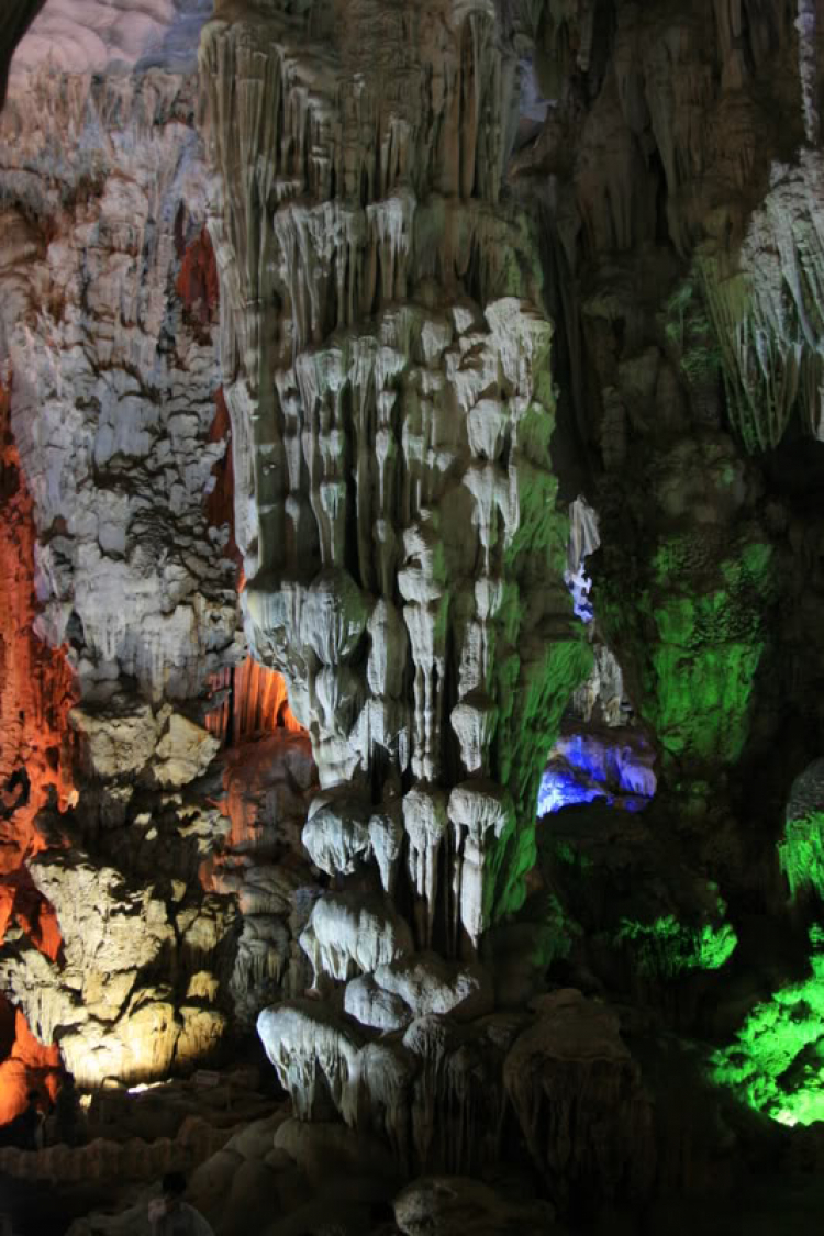 Dã ngọai tháng 8: Về Quảng Ninh, cùng vui, cùng câu cá biển. Dã ngọai tháng 8: Về Quảng Ninh, cùng vui, cùng câu cá biển.