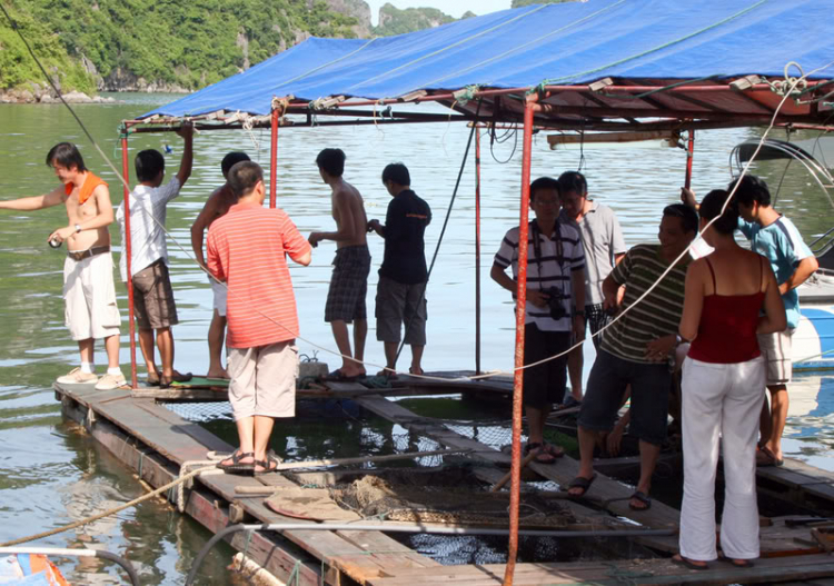 Dã ngọai tháng 8: Về Quảng Ninh, cùng vui, cùng câu cá biển.