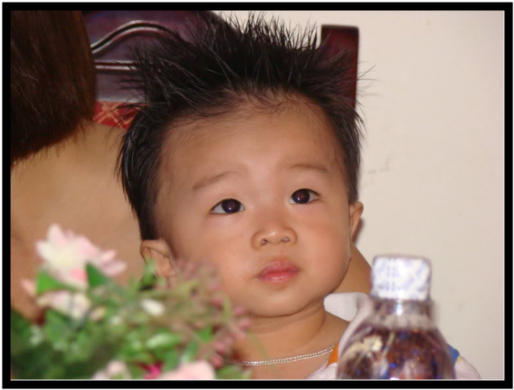 Hình chân dung- mời các bác . . . Hình chân dung- mời các bác . . .