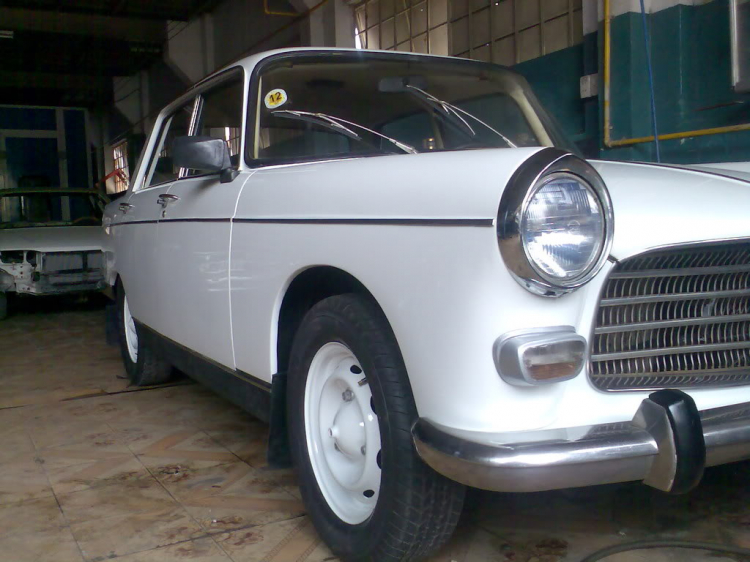 Xin tư vấn làm lại Peugeot 404!