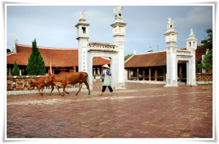Đường Lâm - Hà Nội, làng cổ ngày đầy tháng.
