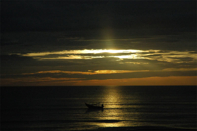 PHONG CẢNH VN