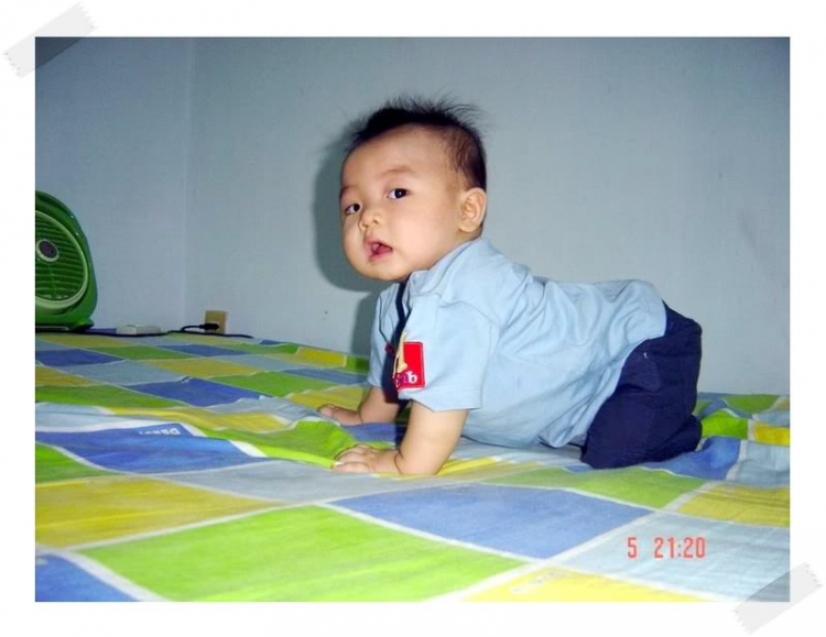Mời các bác vào khoe con nào!