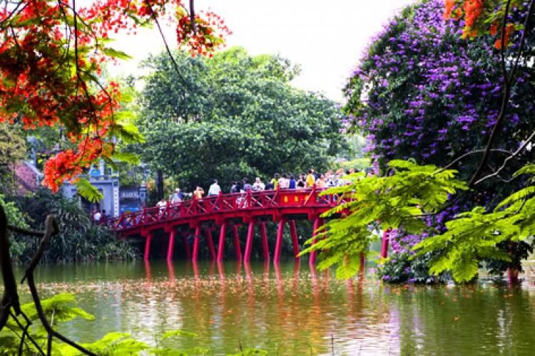 PHONG CẢNH VN