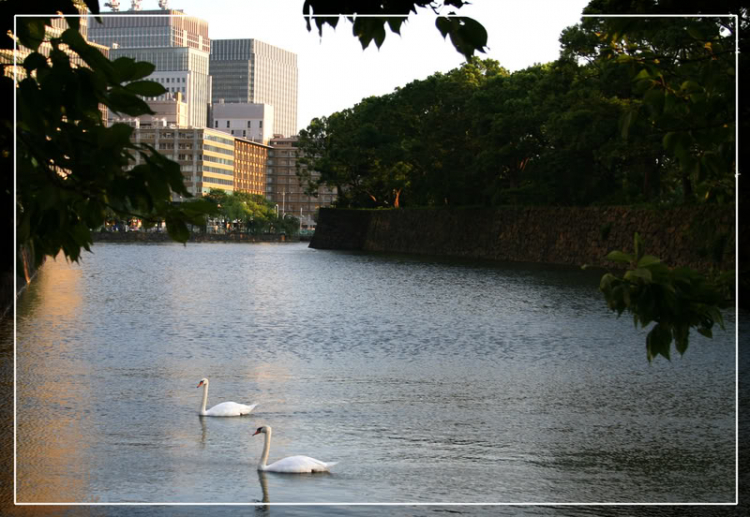 Một thoáng Tokyo.