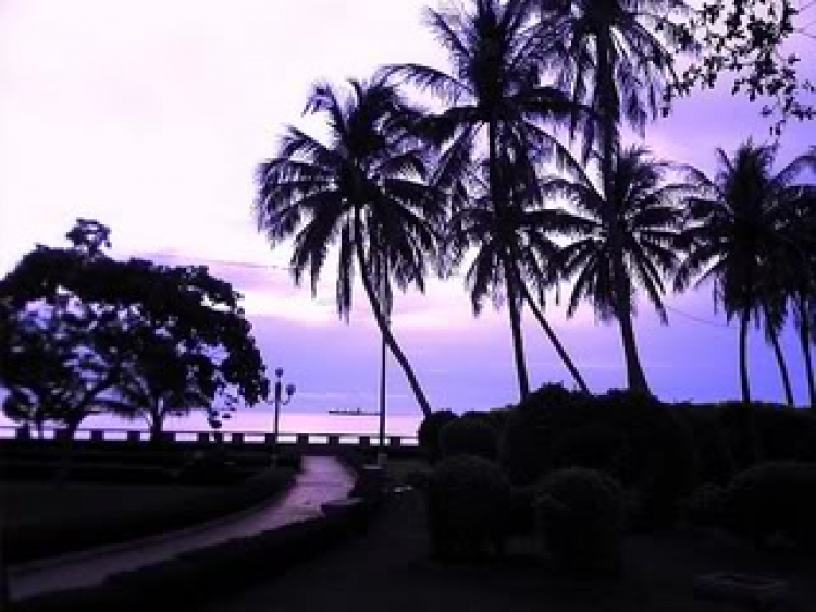 Làm sao để resize hình cho nó đều nhau Làm sao để resize hình cho nó đều nhau