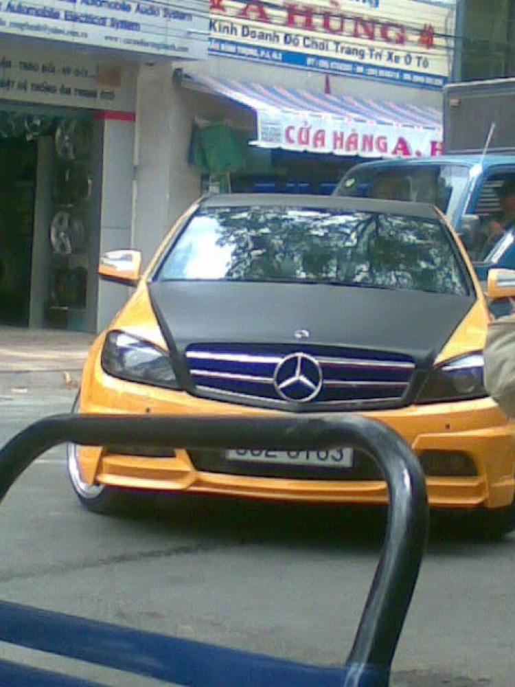 1 con Mer độ ở Trần Bình Trọng