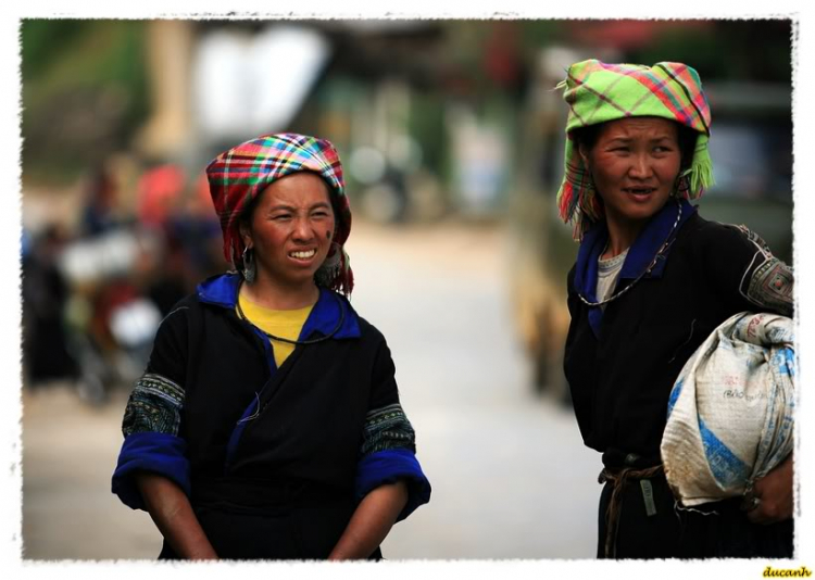 Lúa chín Tú Lệ - Mù Cang Chải.