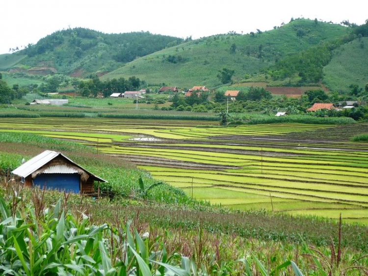 Khúc quân hành cùng AD@
