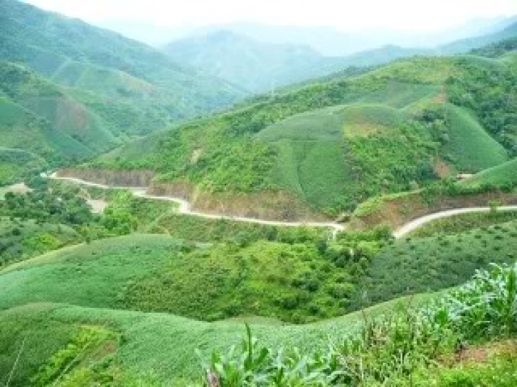 Khúc quân hành cùng AD@