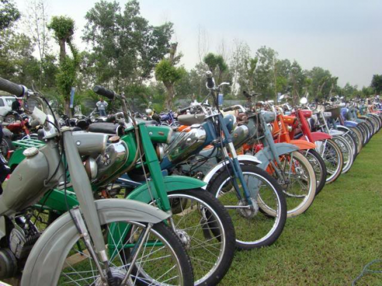 CON BỌ THAM GIA  NGÀY HỘI SCOOTER VN 2008